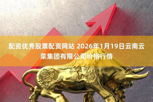 配资优秀股票配资网站 2026年1月19日云南云菜集团有限公司价格行情
