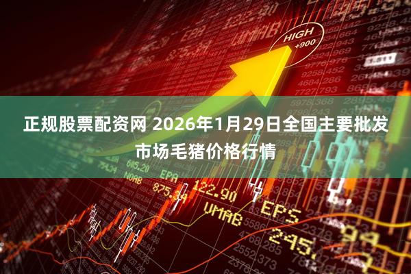 正规股票配资网 2026年1月29日全国主要批发市场毛猪价格行情